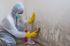 Best Commercial Mold Inspection in Perryopolis, PA